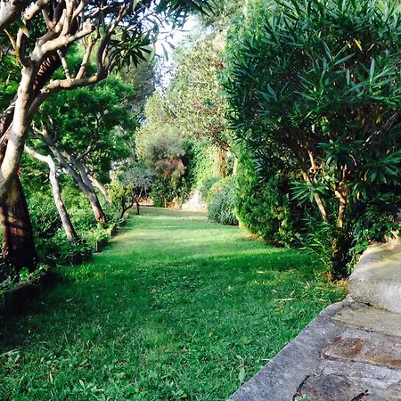 Apartment Leopolda